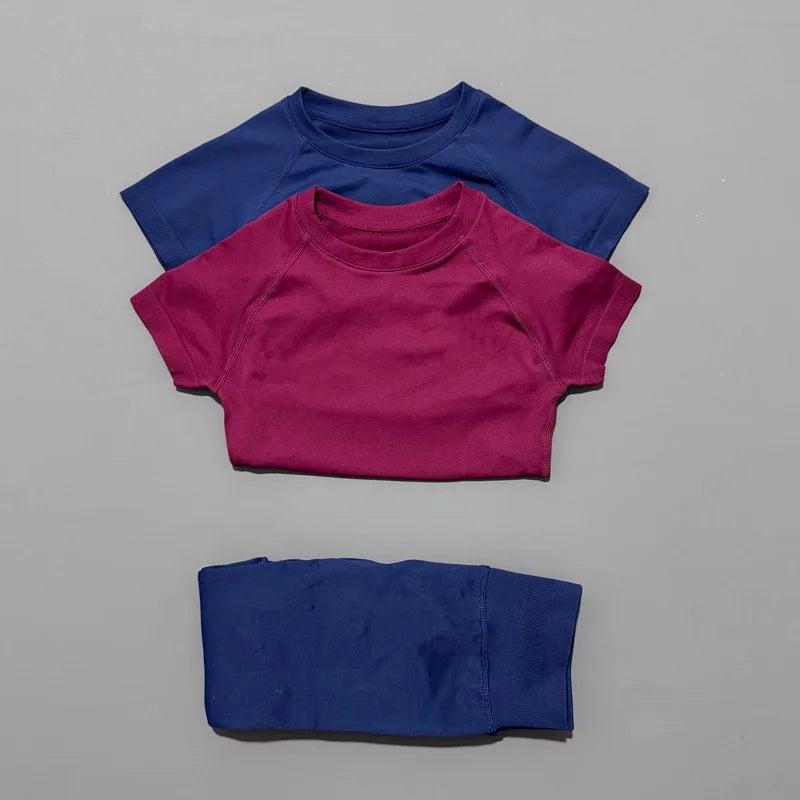 Conjunto Fitness Feminino 2 Peças Seamless HISTELLO Top Cropped Manga Curta + Legging Cintura Alta para Academia e Yoga